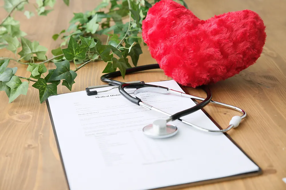 聴診器とクリップボードの上に置かれた赤いハートと観葉植物(健康管理のイメージ)
